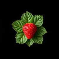 Strawberry Leaf