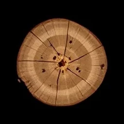 Sycamore wood