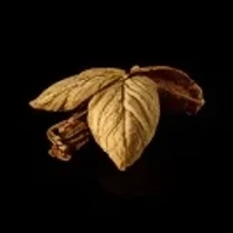 Tobacco absolute