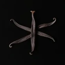 Vanilla absolute Orpur®