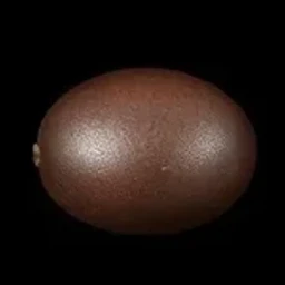 Venezuelan tonka bean