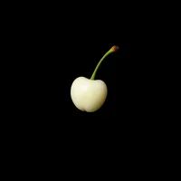 White Cherry