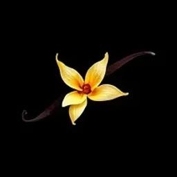 Zanzibar vanilla